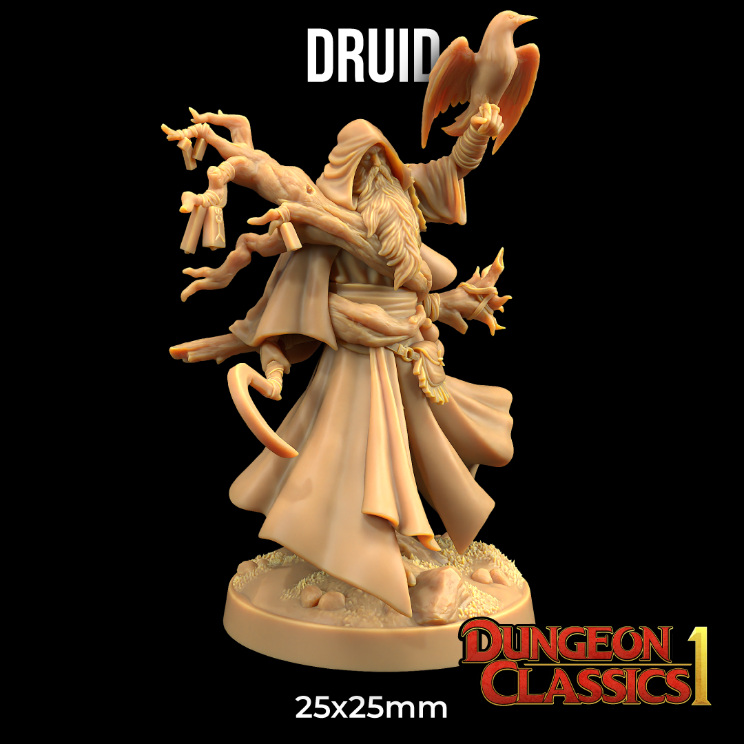 Druid | PRESUPPORTED | Dungeon Classics